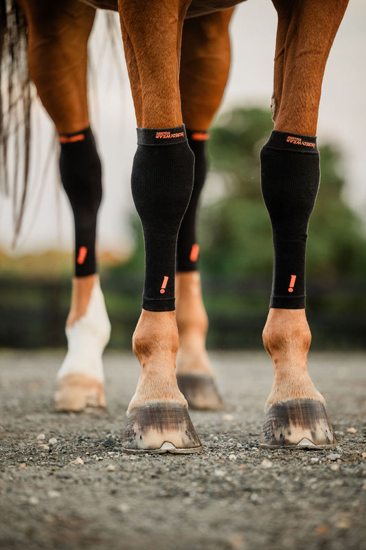 Incrediwear Foundation Kit