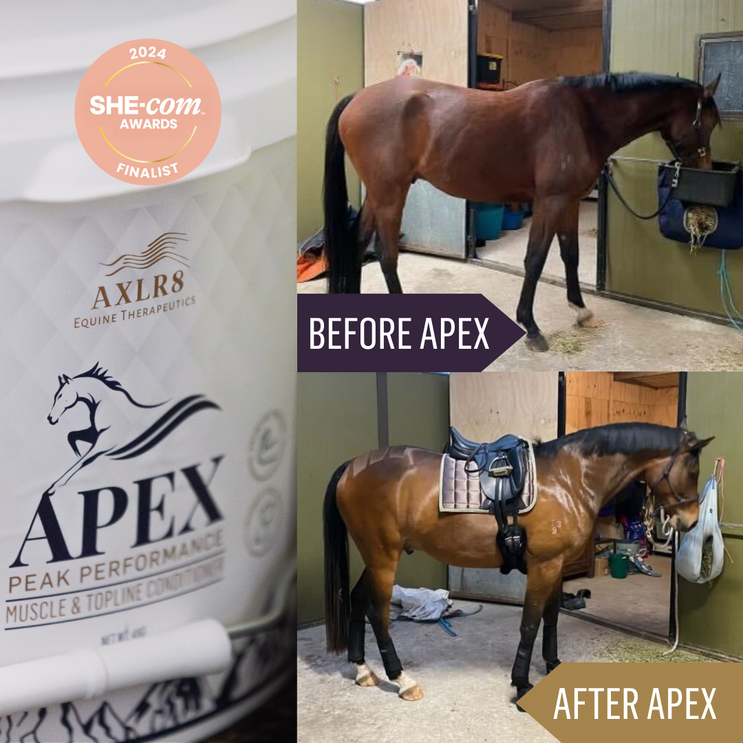 APEX™ Muscle and Topline Conditioner