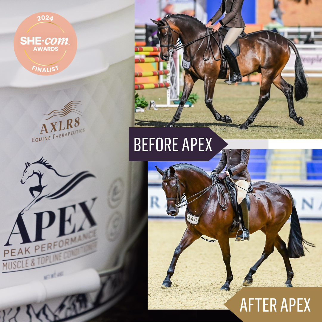 APEX™ Muscle and Topline Conditioner