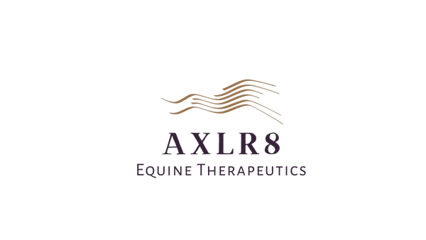 AXLR8 Equine