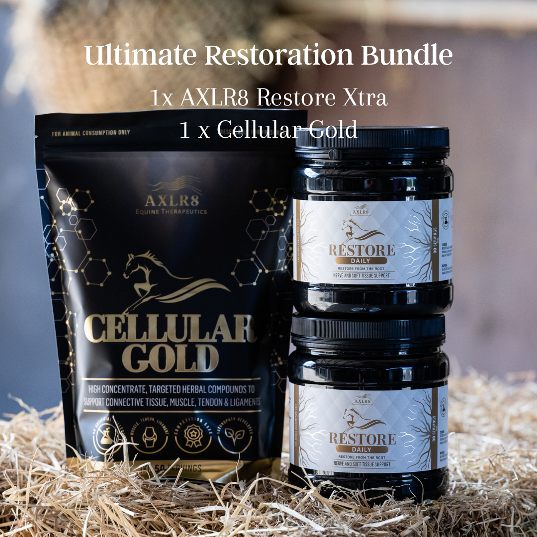 Ultimate Restoration Bundle
