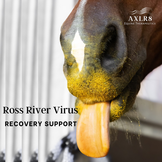 Ross River Virus in Horses