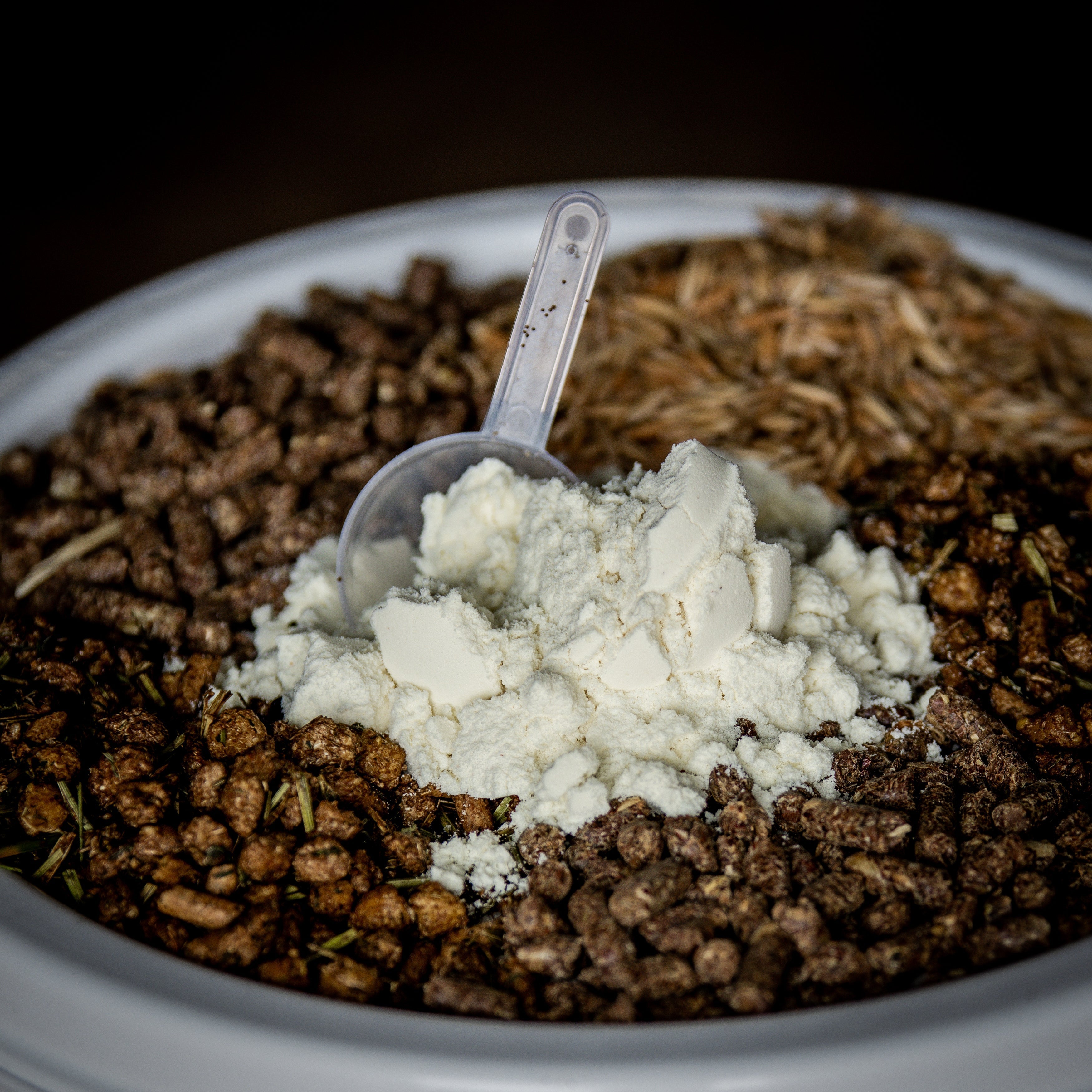 Behind the Bag: What's Really in Your Horse's Feed?