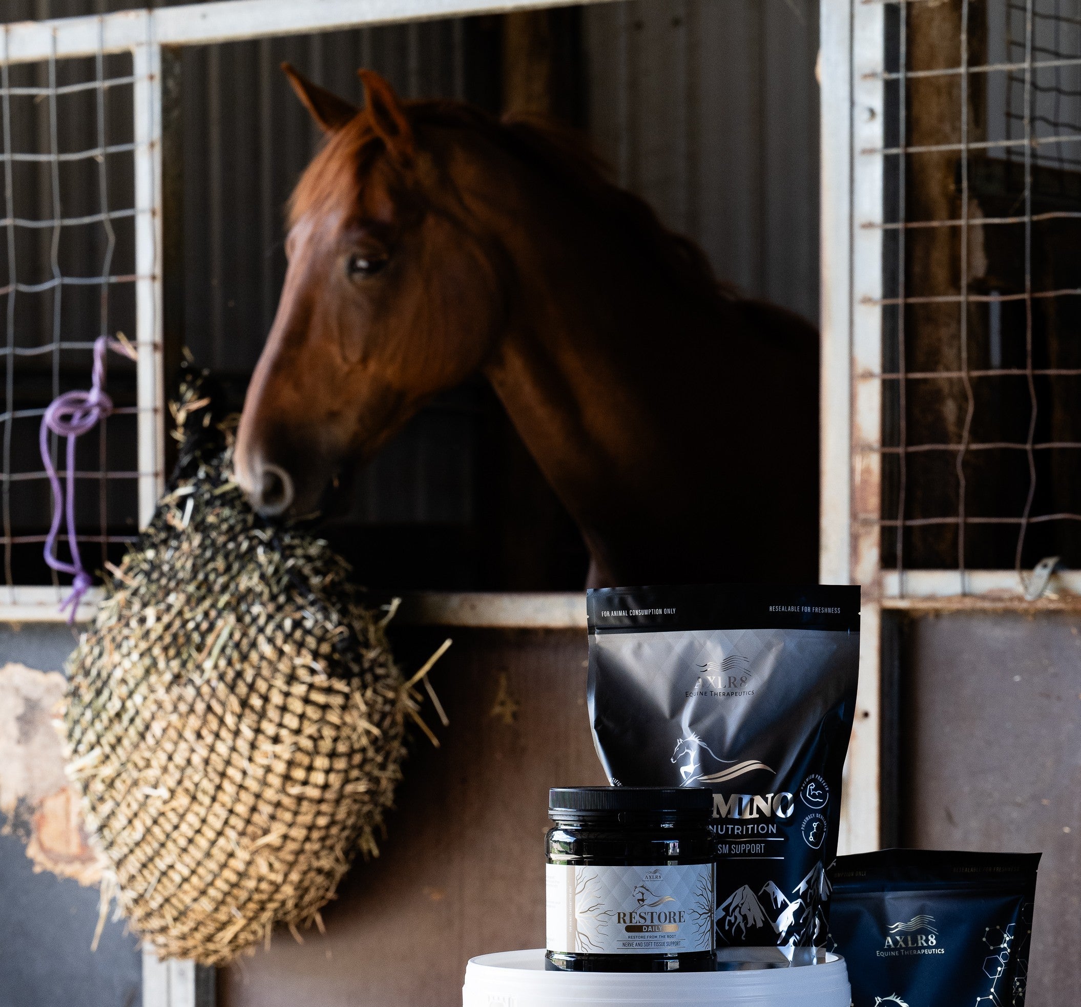 Is starch the enemy in your horse's diet?