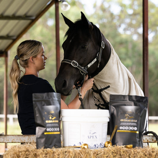 Welfare, Performance & Longevity Series, with internationally respected FEI Veterinarian Dr Mike Tomlinson