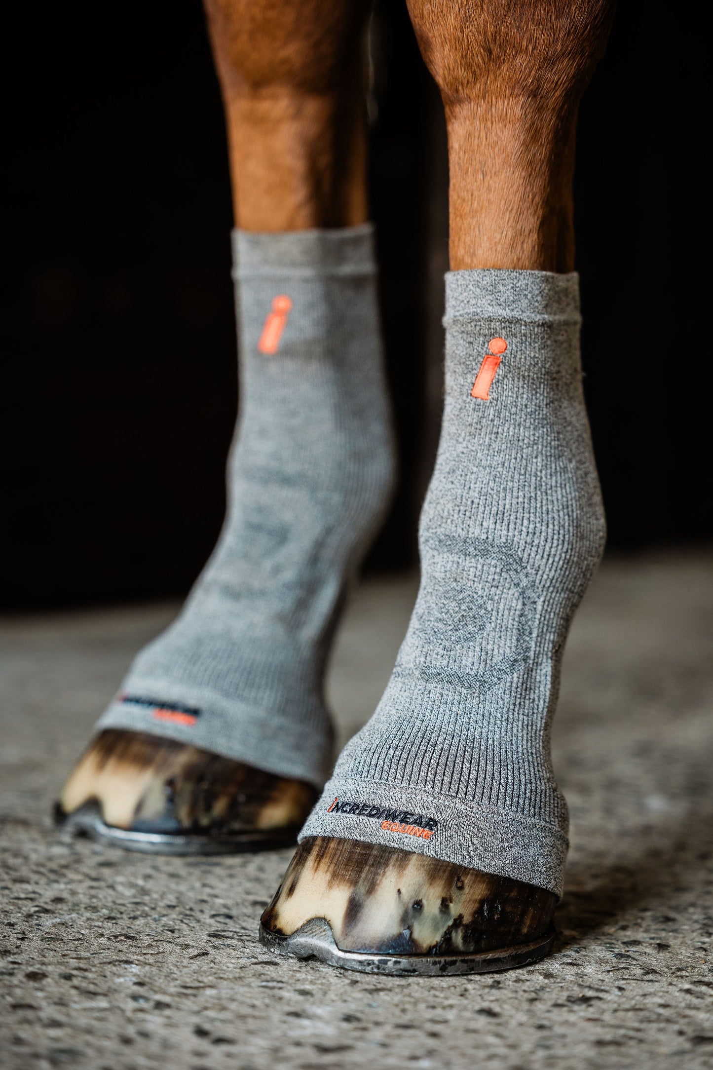 Incrediwear Foundation Kit