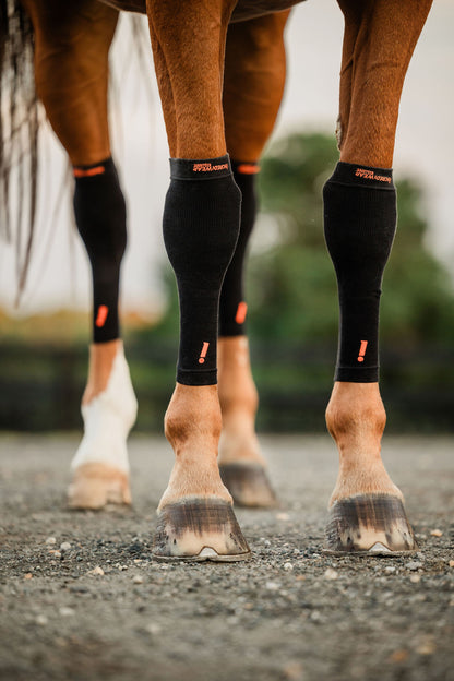 Incrediwear Foundation Kit