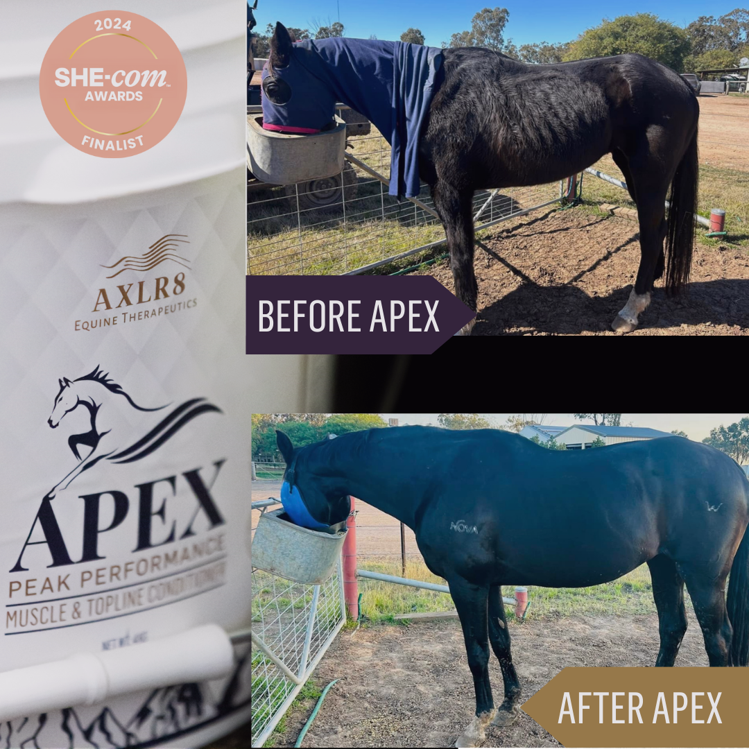 APEX™ Muscle and Topline Conditioner