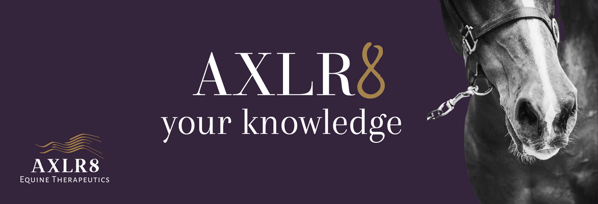Axlr Tips for Horse Muscle Development – AXLR8 Equine