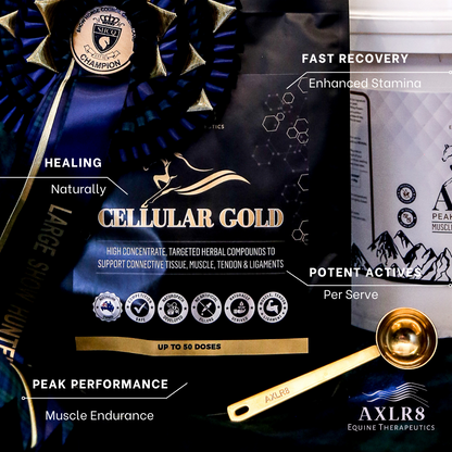 CELLULAR GOLD – AXLR8 Equine