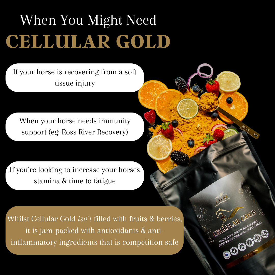 CELLULAR GOLD