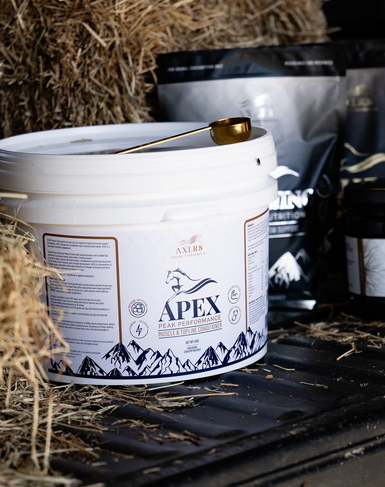 APEX - The Muscle Systems Supplement