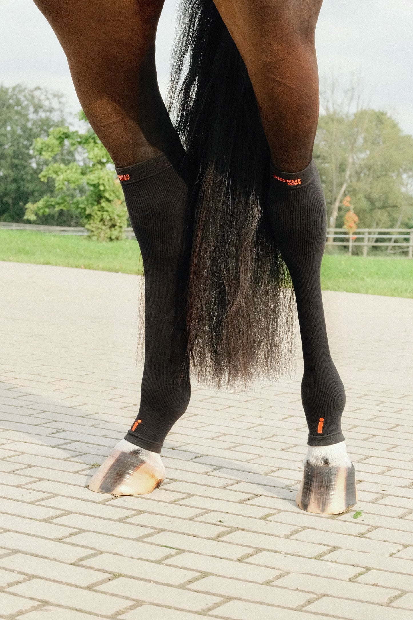 Incrediwear Hock Sleeves