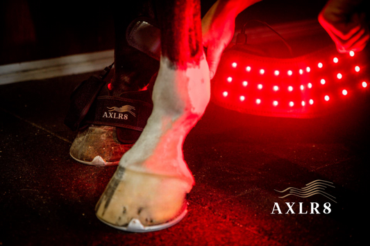 AXLR8 Hoof Boots