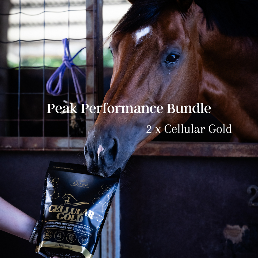 Peak Performance Bundle – AXLR8 Equine