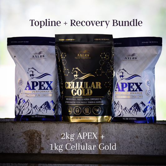 Topline + Recovery Bundle